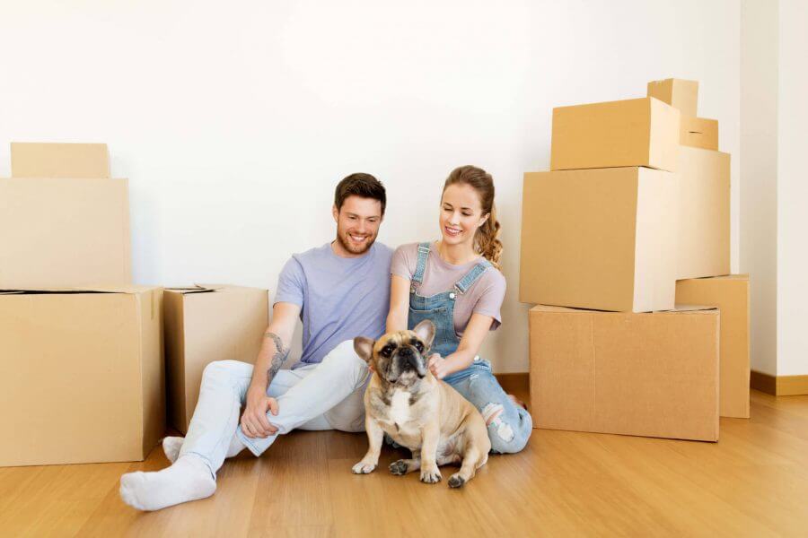 A couple with a dog packing before cross-country moving