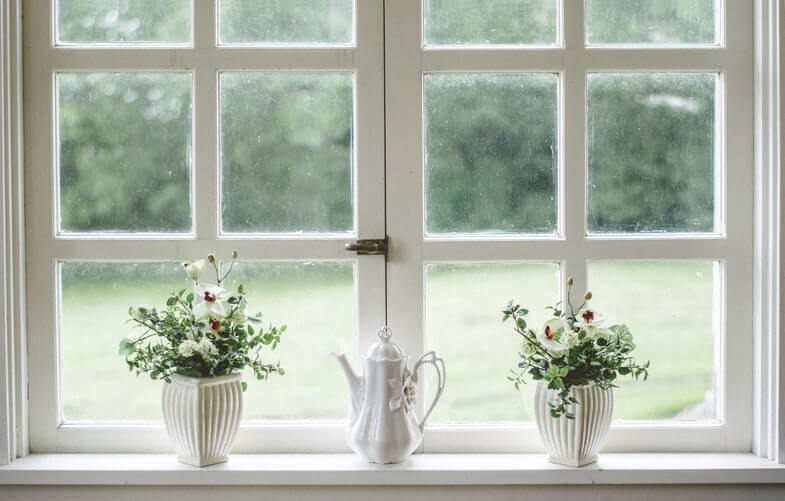 white window and flowers