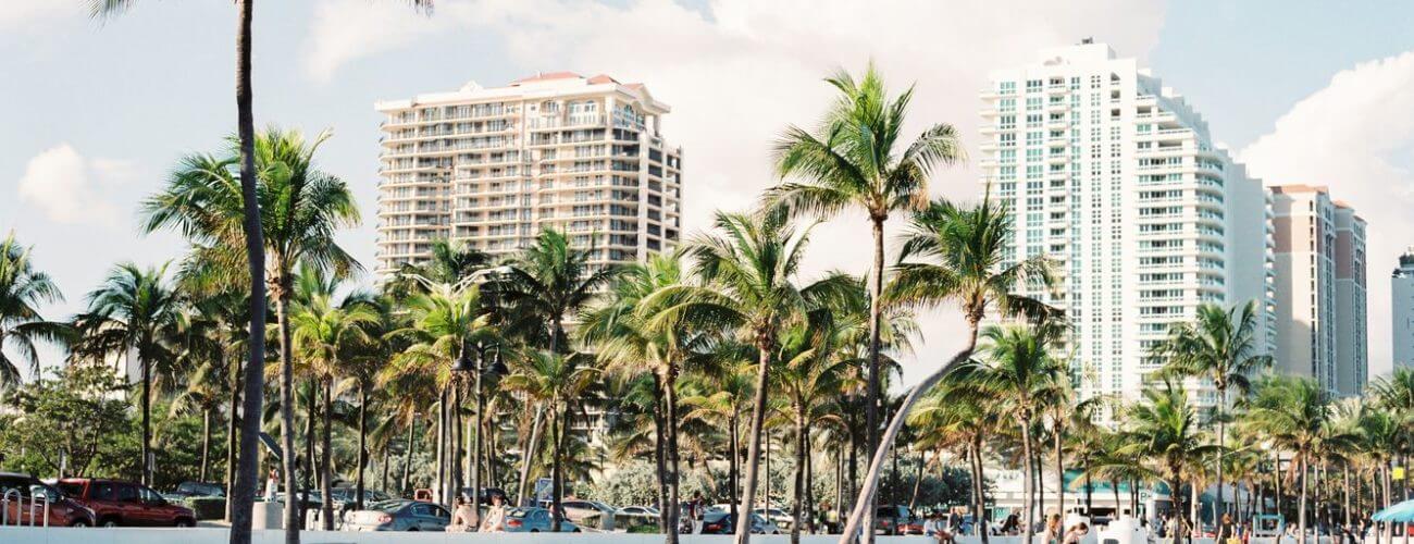Palm trees in front of the buildings in Miami