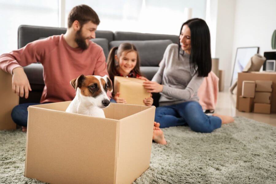 Parents and a girl sitting on the floor in front of a sofa, a canine in the box in front of them