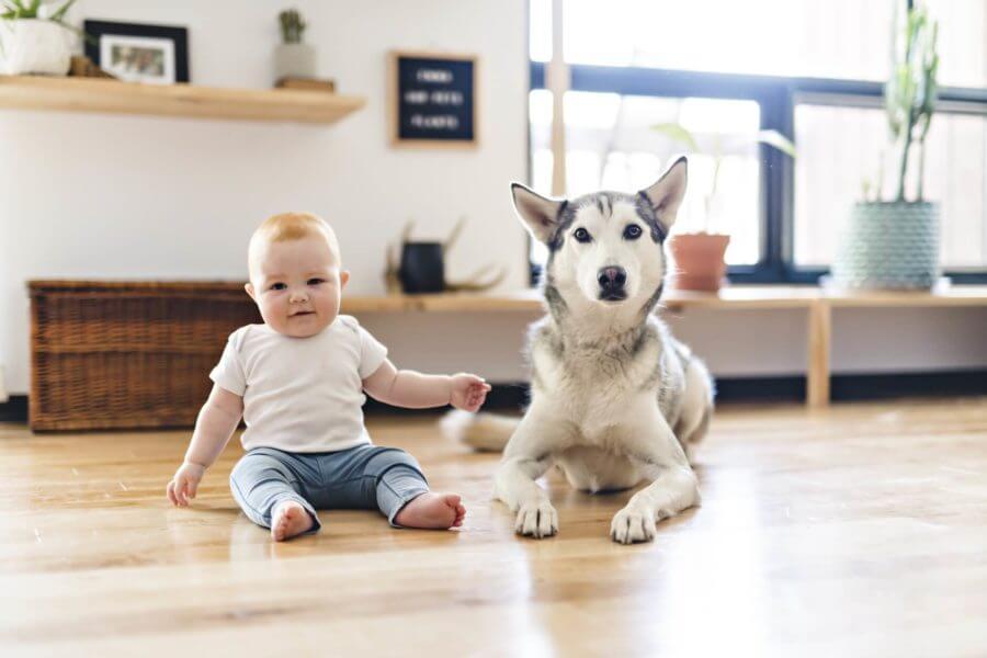 a cute baby and a dog sitting next to each other, ready for long-distance moving