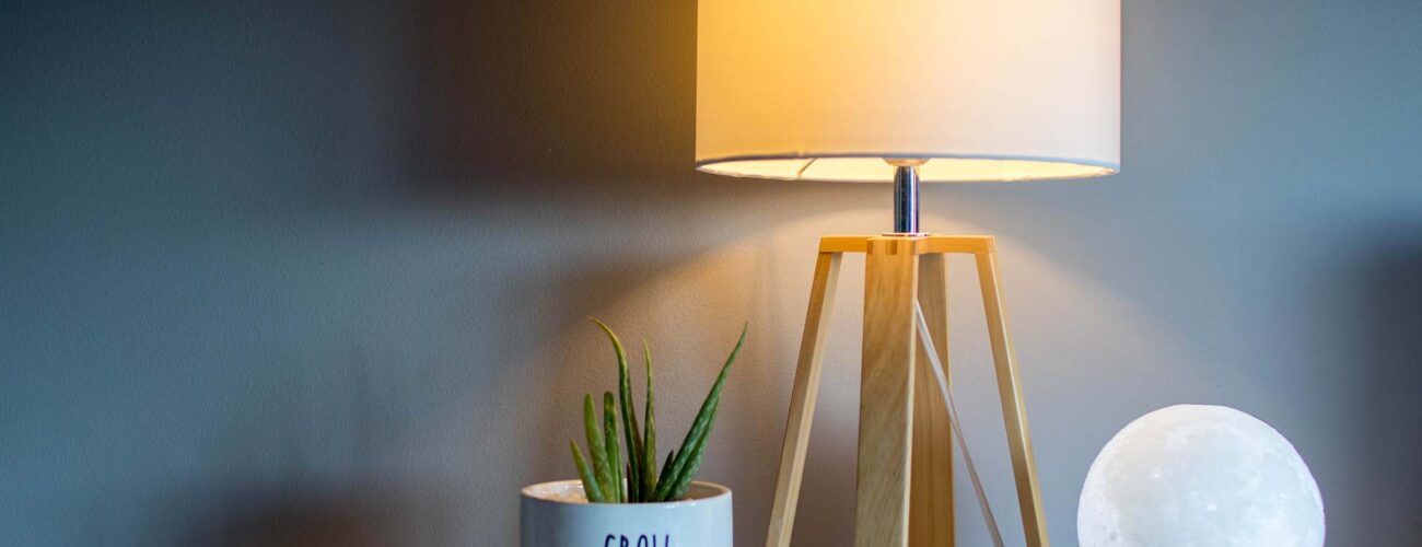 A lamp and a plant on the desk