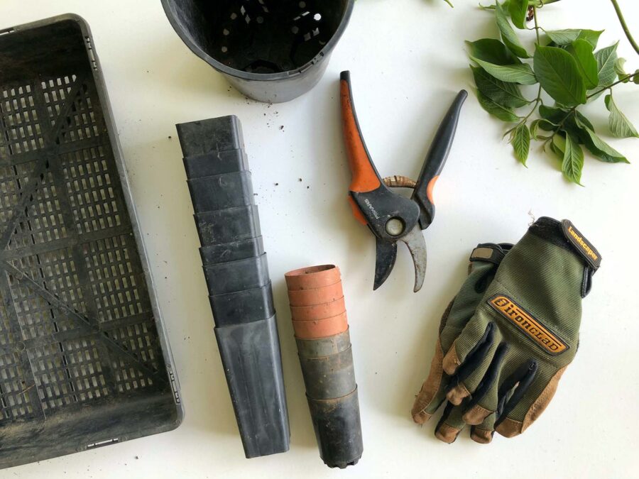 Gloves and tools for working in the garden