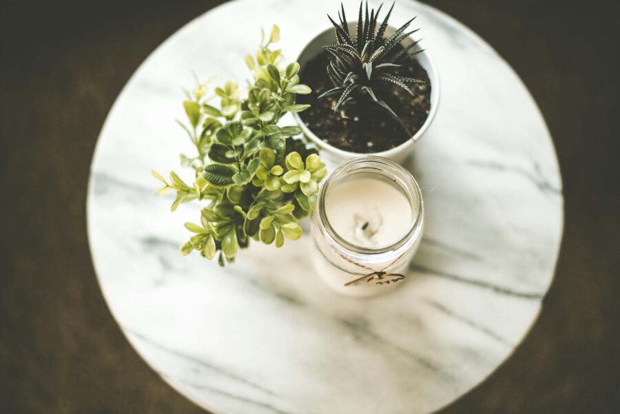A candle and a plant on a table