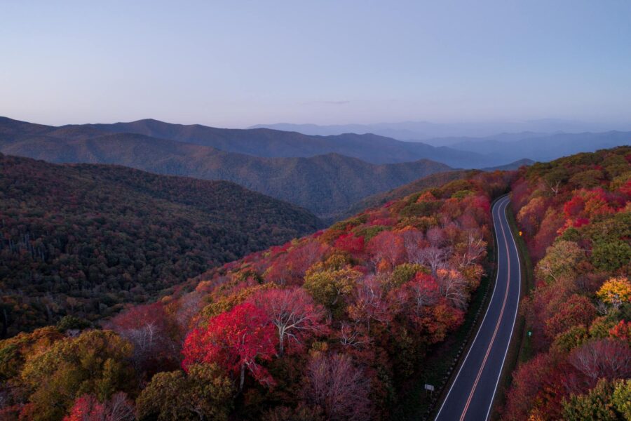 A colorful forest in North Carolina