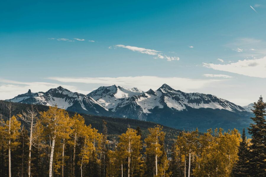 Trees and mountains in Telluride, Colorado