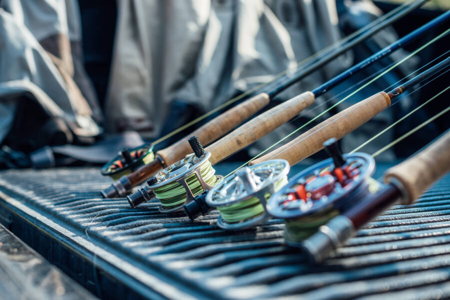 Four fishing rods lined up