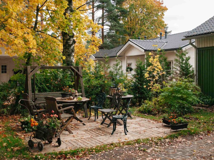 Chairs and a bench in a garden