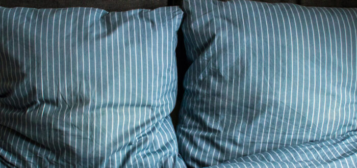 Two blue pillows on a bed