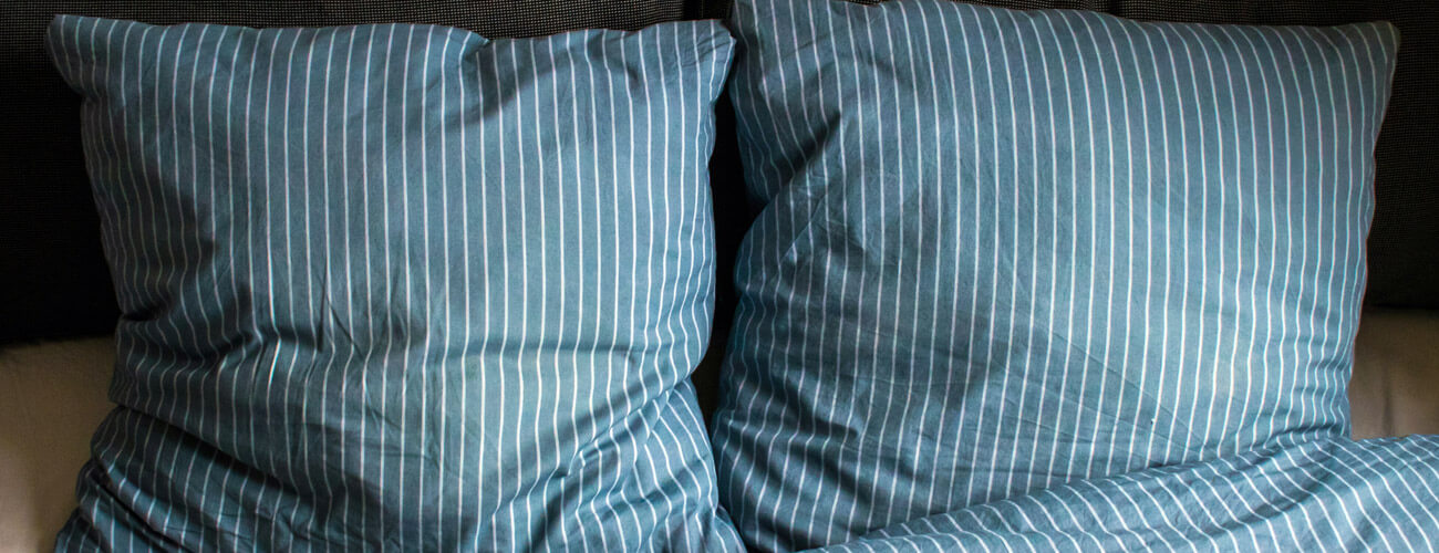 Two blue pillows on a bed