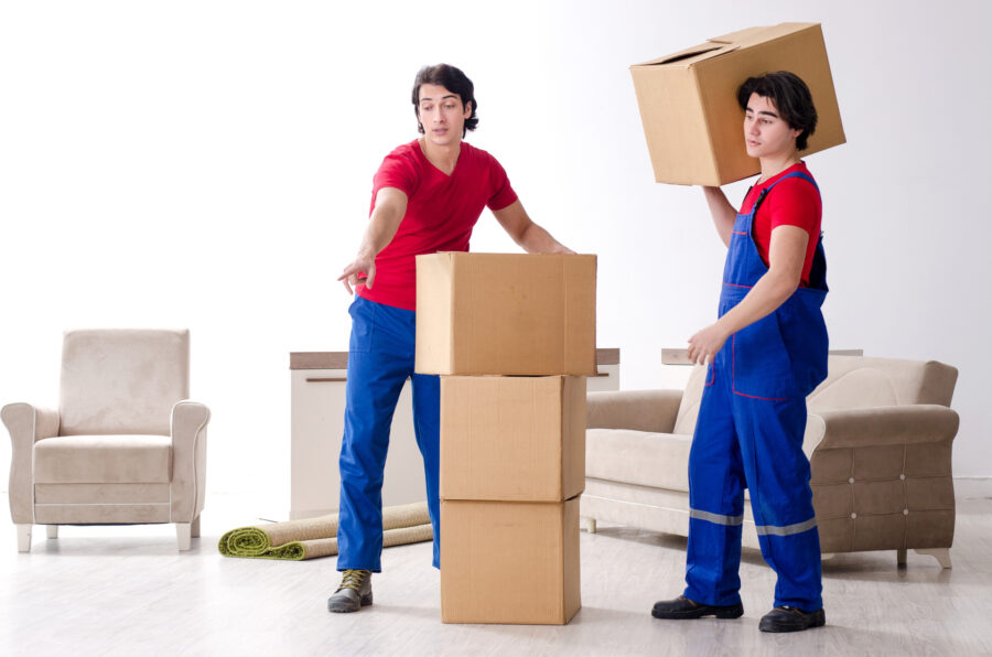 Professional movers with boxes 