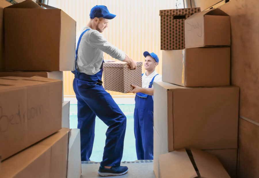 Professionals packing items for storage
